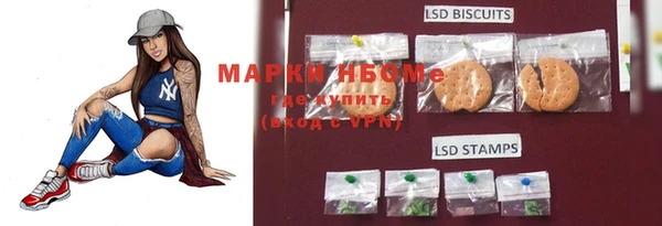 гидропоника Ельня