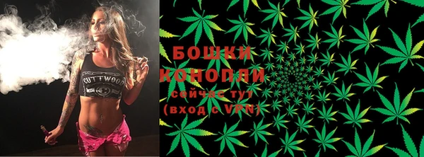 тгк Дмитров