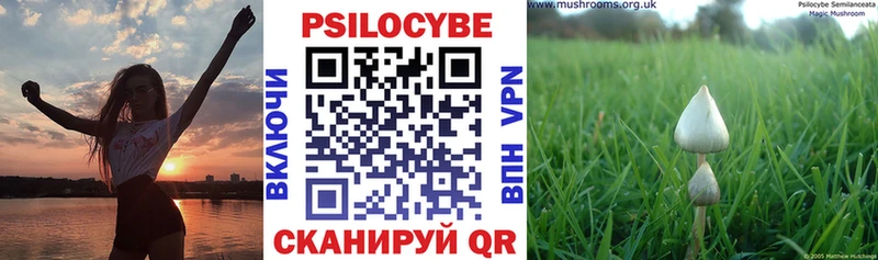 mega зеркало  даркнет официальный сайт  Верхняя Тура  Псилоцибиновые грибы Psilocybe  закладка 