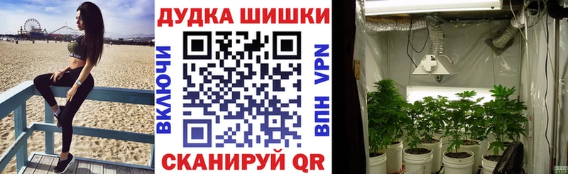 купить закладку  Верхняя Тура  Шишки марихуана марихуана 